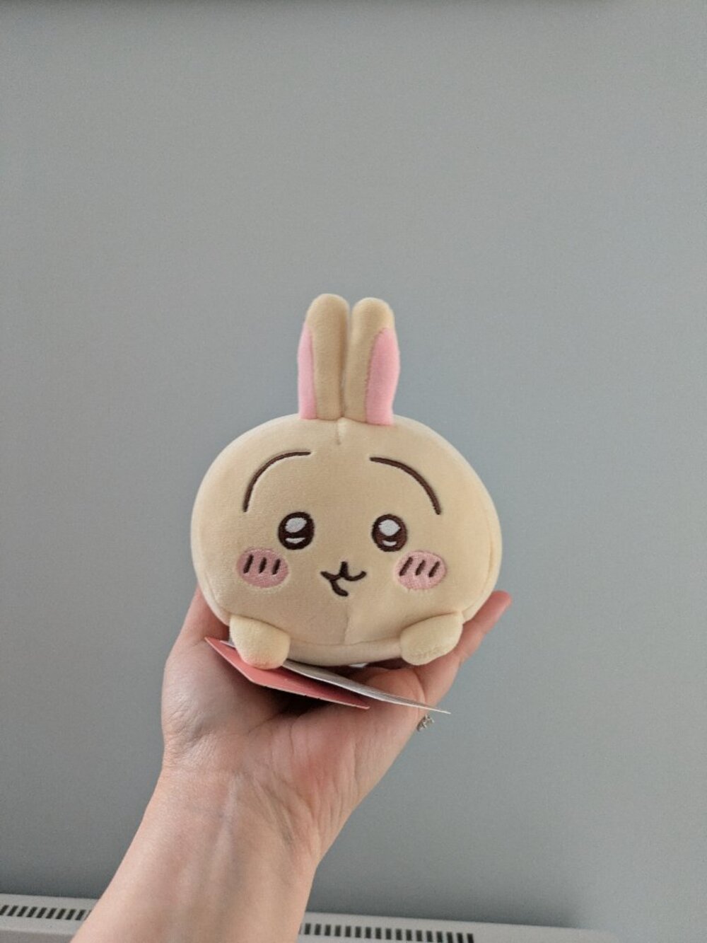 Kawaii Miniso Chiikawa Usagi Plush